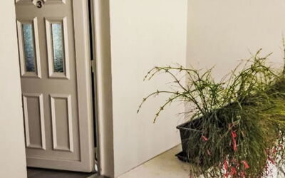 Accommodatie:&nbsp;Frlea 2.1