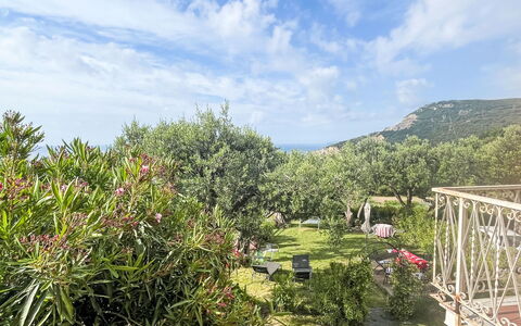 Finale Ligure 30: Struik, Landschap, Tuin, Landscaping, Botanische Tuin, Plantage, Gang, Pad