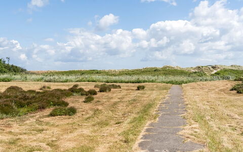 Enwald - 100M from the Sea: Lucht, Gras, Natuurlijke Omgeving, Groen, Grasland, Wolk, Vegetation, Ecoregio, Natuurlijk Landschap, Plain