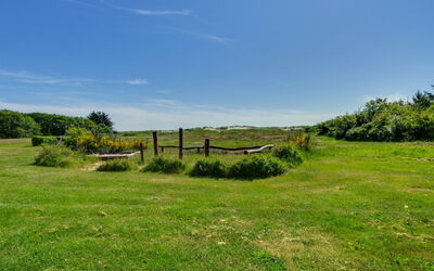 Enwald - 100M from the Sea