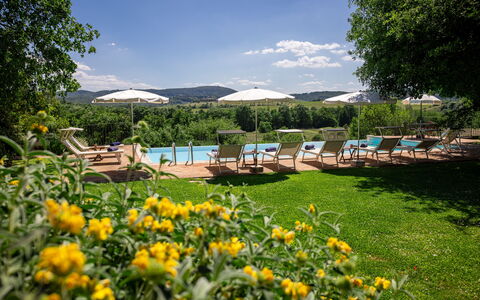 Villa Santa Barbara, Pool and Relax, Siena Country: Toevlucht, Buitenmeubels, Tuin, Zwembad, Eco Hotel, Schaduw, Landscaping, Ligstoel, Landgoed, Plantage