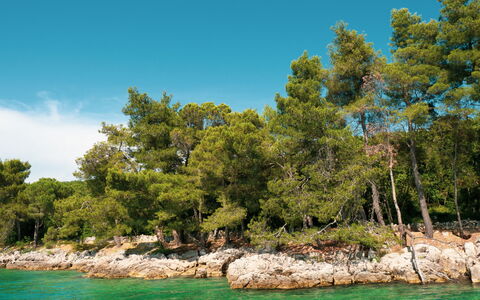 Krk Malinska 204: Zwembad, Badplaats, Eco Hotel, Toevlucht, Villa