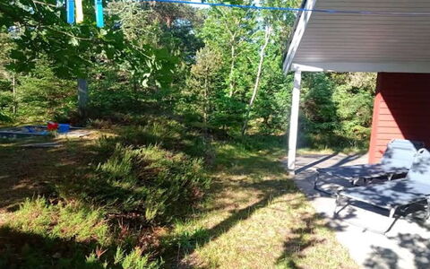 Ferdine - from the Sea: Tuin, Schaduw, Gazon, Backyard, Werf, Bos, Landscaping, Park, Garden Gebouwen
