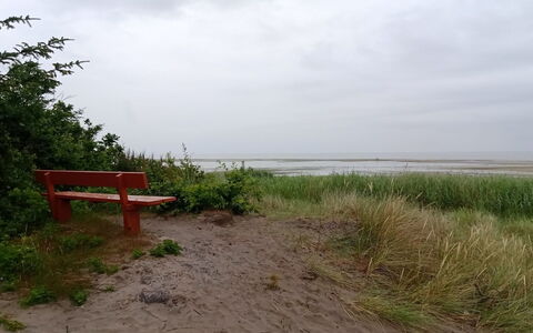 Ferdine - from the Sea: Kust, Kust En Oceanic Landvormen, Zee, Bank, Plantengemeenschap, Oceaan, Kust, Strand