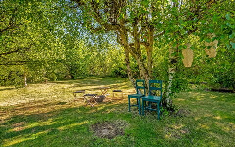 Skuli - 300M from the Sea: Blauw, Blad, Afdeling, Groen, Natuur, Boom, Gras, Natuurlijke Omgeving, Vegetation, Zomer