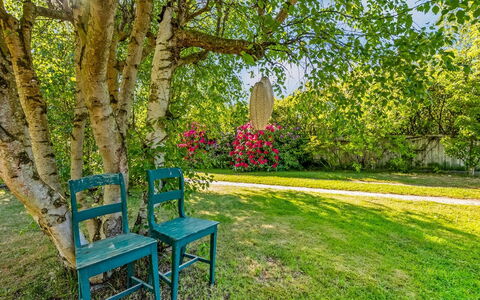Skuli - 300M from the Sea: Blauw, Blad, Groen, Natuur, Afdeling, Geel, Vegetation, Meubilair, Zomer, Tuin