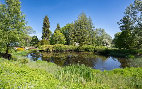 Coach House on Aigas Golf Course: Water, Groen, Watervoorraden, Zwemwater, Boom, Natuur, Natuurlijke Omgeving, Natuurlijk Landschap, Waterloop, Vegetation