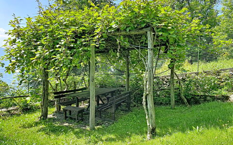 Il Cervo: De Lente, Schaduw, Tuin, Hek