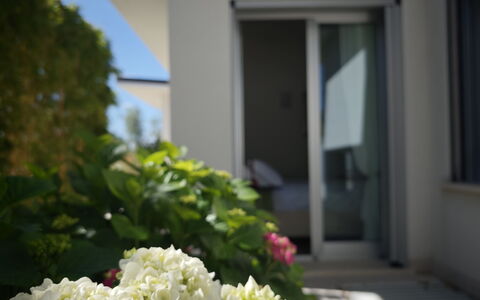 Villa Mulberry Garden - Esclusiva con Piscina Priv: Bloem, Petal, Bloeiende Plant, Tuin, Landscaping, Daylighting, Hydrangeaceae, Hortensia, Balkon