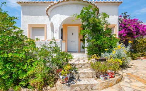 Bougainvillea: Struik, Tuin, Landscaping, Hacienda, Flagstone, Kamerplant, Bloempot, Villa