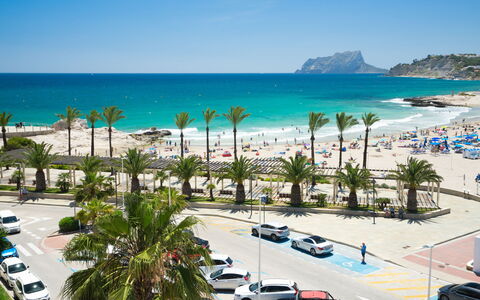 Magnolias: Strand, Vakantie, Toevlucht, Zee, Kust, Tropen, Vrije Tijd, Zand