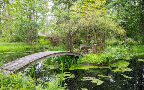 Lövekulle: Groen, Natuurlijke Omgeving, Natuurlijk Landschap, Vegetation, Struik, Plantengemeenschap, Tuin, Bank, Waterloop