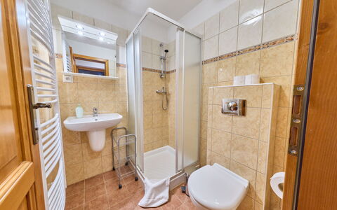 Penzion Exnar: Flooring, Interieur Ontwerp, Verdieping, Kamer, Loodgieterswerkinrichting, Loodgieter, Spiegel, Wastafel, Kraan, Hotel