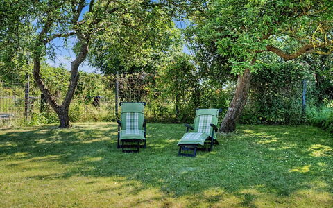 Aaro - 275M from the Sea: Groen, Gras, Meubilair, Struik, Tuin, Land Lot, Gazon, Schaduw, Buitenmeubels