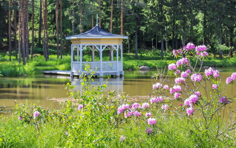 Vanhakylä Gård Väentupa: Boom, Groen, Tuin, Struik, Prieel, De Lente, Paviljoen, Park