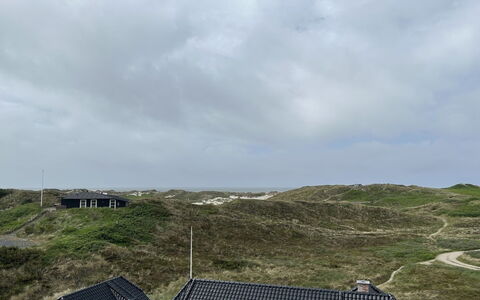 Nyyrikki - 350M from the Sea: Terrein, Land Lot, Fell, Shrubland, Dicht Struikgewas, Steppe, Trail