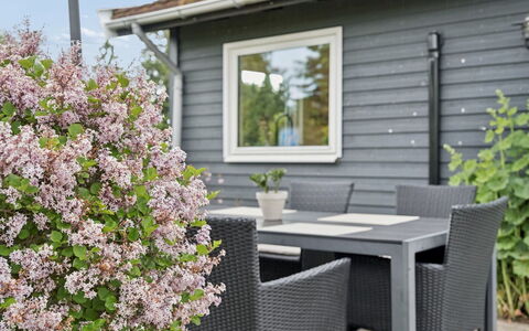 Arise - 1.5Km from the Sea: Struik, Tuin, Groundcover, Schaduw, Werf, Siding, Buitenmeubels, Landscaping, Backyard, Outdoor Structuur