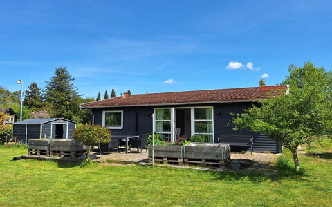 Arise - 1.5Km from the Sea: Gras, Huis, Verblijf, Huis, Dak, Land Lot, Landelijk Gebied, Gazon, Werf, Siding