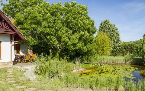 Villa Canela: Groen, Struik, Tuin, Verblijf, Landelijk Gebied, De Lente, Weide, Gazon, Boerderij