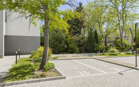 Gárdonyi Garden: Struik, Openbare Ruimte, Groundcover, Stoep, Tuin, Flagstone, Woody Plant, Oprit, Gang