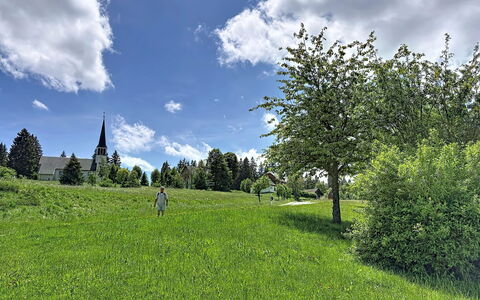 Sonne: Blauw, Groen, Gras, Boom, Natuurlijke Omgeving, Blad, Grasland, Wolk, Vegetation, Zomer