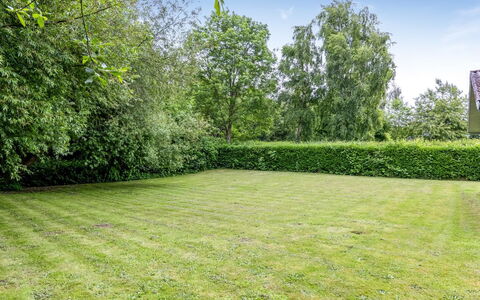 Elif - 200M from the Sea: Groen, Gras, Struik, Grasland, Tuin, Land Lot, Gazon, Groundcover, Weide