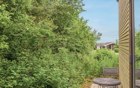 Anabel - 800M from the Sea: Blad, Vegetation, Afdeling, Struik, Plantengemeenschap, Takje, Zonlicht, Tuin, Schaduw, Backyard