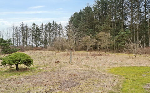 Algeth - 2.5Km from the Sea: Boom, Natuurlijke Omgeving, Natuurlijk Landschap, Grasland, Plain, Land Lot, Plantengemeenschap, Bodem, Pasture