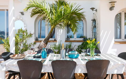 Lotus: Meubilair, Tafel, Interieur Ontwerp, Stoel, Keuken En Eettafel, Eetkamer, Bloempot, Huis, Restaurant, Kamerplant