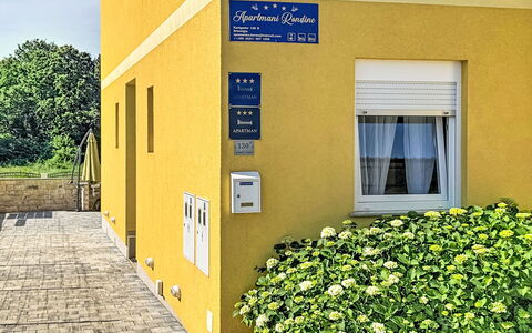 Novigrad (Istra) 142: Zwembad, Toevlucht, Huis, Eco Hotel, Landgoed, Patio, Villa, Binnenplaats, Ontwerp, Buitenmeubels