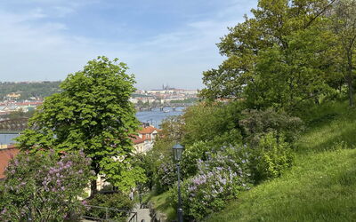 Soukenická