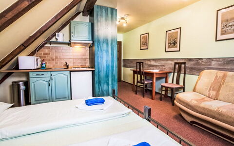 Accommodatie:&nbsp;Roky - Dolní Náměstí 2.4