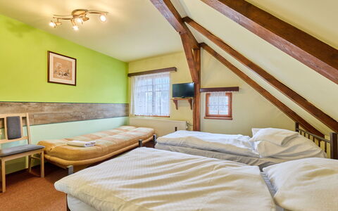 Accommodatie:&nbsp;Roky - Dolní Náměstí 2.4