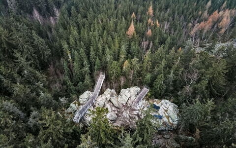 Rokytnice Nad Jizerou 2: Woud, Lariks, Tropische En Subtropische Naaldbossen, Jungle, Evergreen, Bos