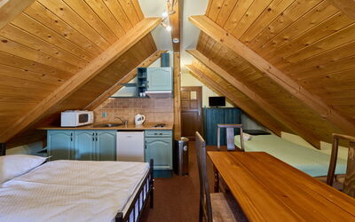 Accommodatie:&nbsp;Roky - Dolní Náměstí 2.7