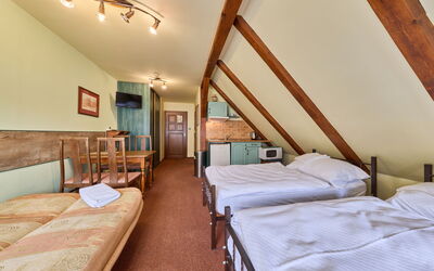 Accommodatie:&nbsp;Roky - Dolní Náměstí 2.3