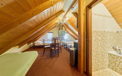 Accommodatie:&nbsp;Roky - Dolní Náměstí 2.7