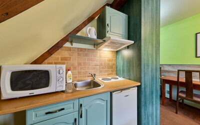 Accommodatie:&nbsp;Roky - Dolní Náměstí 2.4
