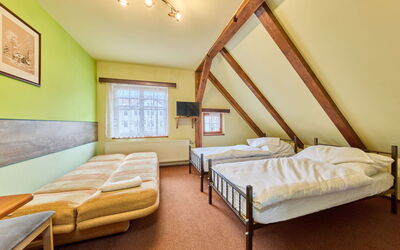 Accommodatie:&nbsp;Roky - Dolní Náměstí 2.4