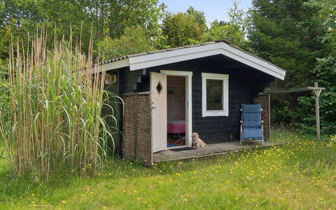 Nis - 1.4Km from the Sea: Hout, Dak, Verblijf, Schuur, Landelijk Gebied, Garden Gebouwen, Tuin, Backyard, Gazon, Werf