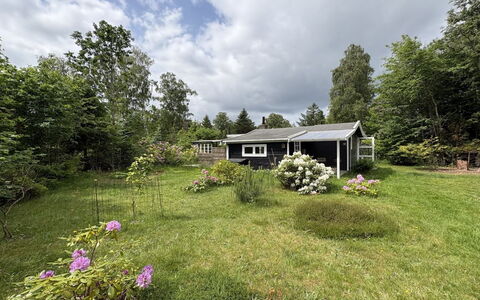 Nis - 1.4Km from the Sea: Gras, Huis, Struik, Huis, Verblijf, Dak, Land Lot, Landelijk Gebied, Tuin