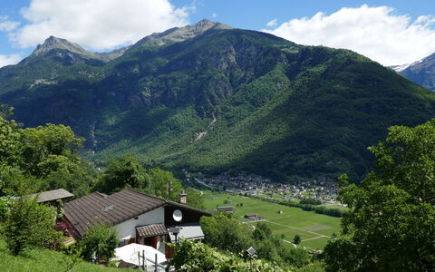 Sara: Venster, Facade, Siding, Verblijf, Schuifraam, Verf, Lariks