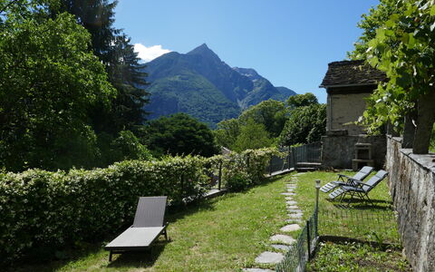 Sara: Venster, Facade, Siding, Verblijf, Schuifraam, Verf, Lariks