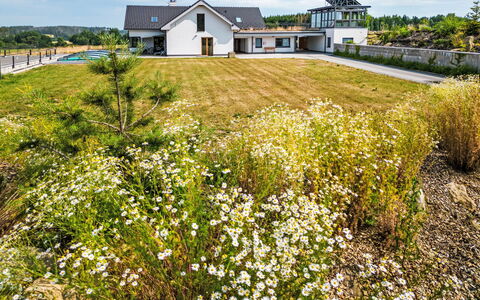 Dačice 100: Weide, Verblijf, Tuin, Prairie, Landgoed, Wildflower, Landscaping, Boerderij, Boerderij