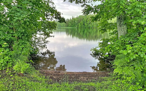 Sjöarpstugan: Water, Zwemwater, Natuur, Natuurlijke Omgeving, Natuurlijk Landschap, Vegetation, Bank, Waterloop, Plantengemeenschap