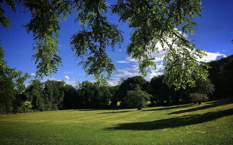 Villa Veneta - Historic Villa in the Prosecco Hill: Blauw, Gras, Blad, Dag, Groen, Natuur, Boom, Afdeling, Natuurlijke Omgeving, Vegetation