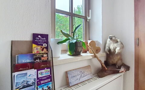 Boutique Appartement Tauernblick: Interieur Ontwerp, Meubilair, Stellingen, Kamer, Plank, Kamerplant, Bloempot, Fotolijst