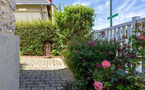 Villerville: Bloem, Struik, Tuin, Landscaping, Werf, Rose Family, Backyard, Gang