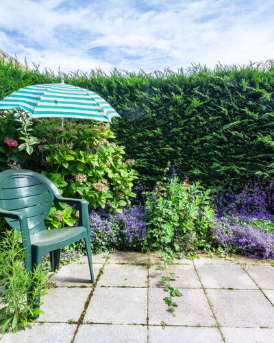 Les Portes de la Mer: Struik, Tuin, Haag, Gazon, Landscaping, Werf, Evergreen, Backyard