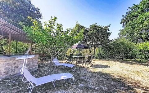 Archi 6: Boom, Struik, Tuin, Schaduw, Landscaping, Werf, Gazon, Backyard, Park, Oprit